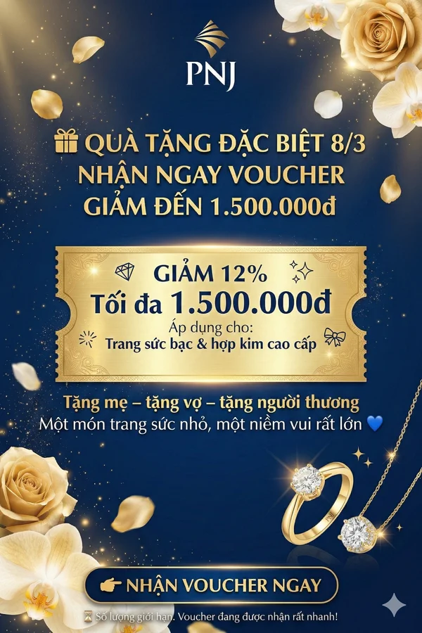 VOUCHER PNJ