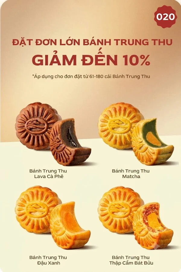 GIẢM 10%